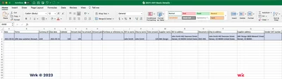 Result Excel Create CSV Receipt Invoice Basic Details